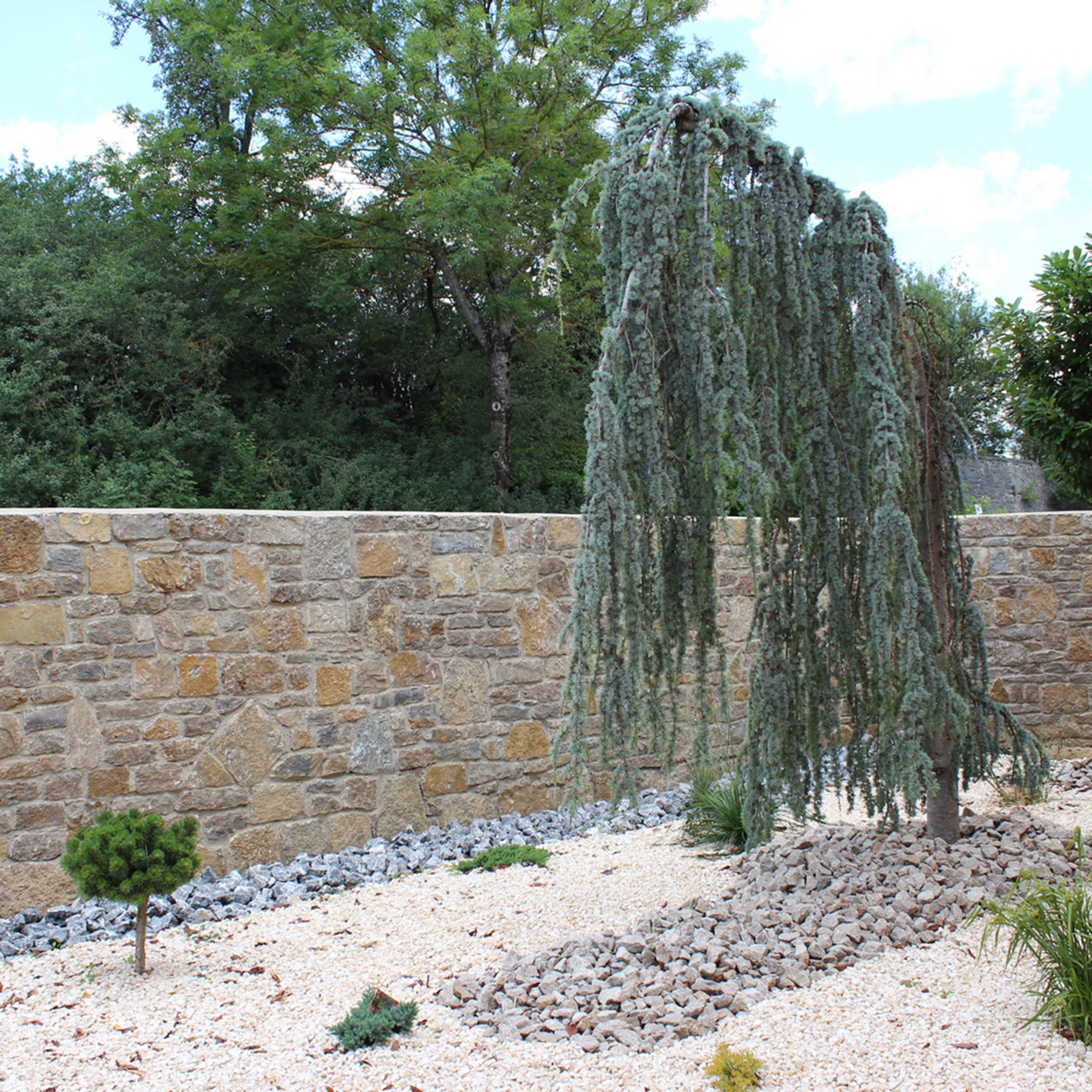 IMG_0683 Titelbild bearbeitet Quadratisch