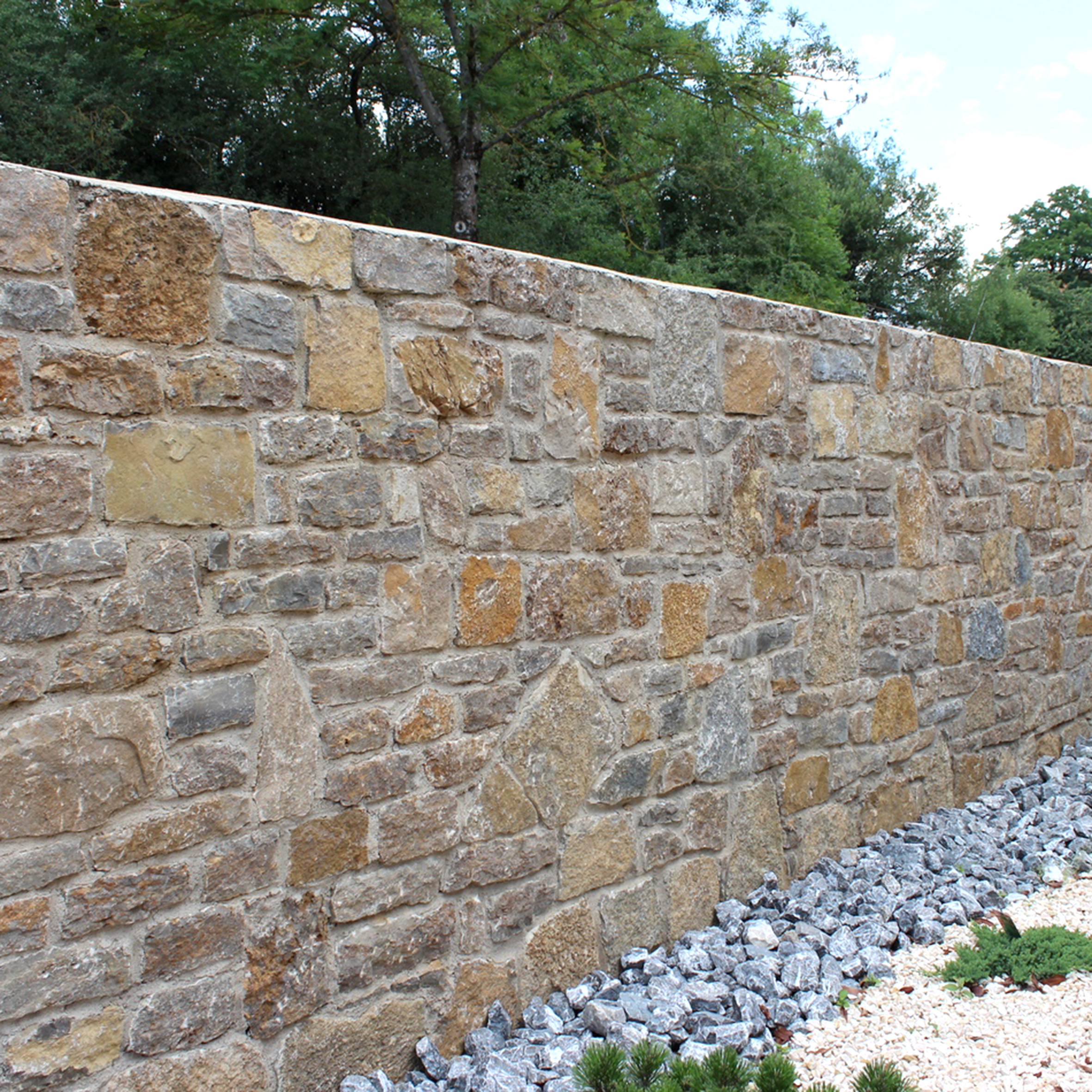 IMG_0684 bearbeitet Quadratisch