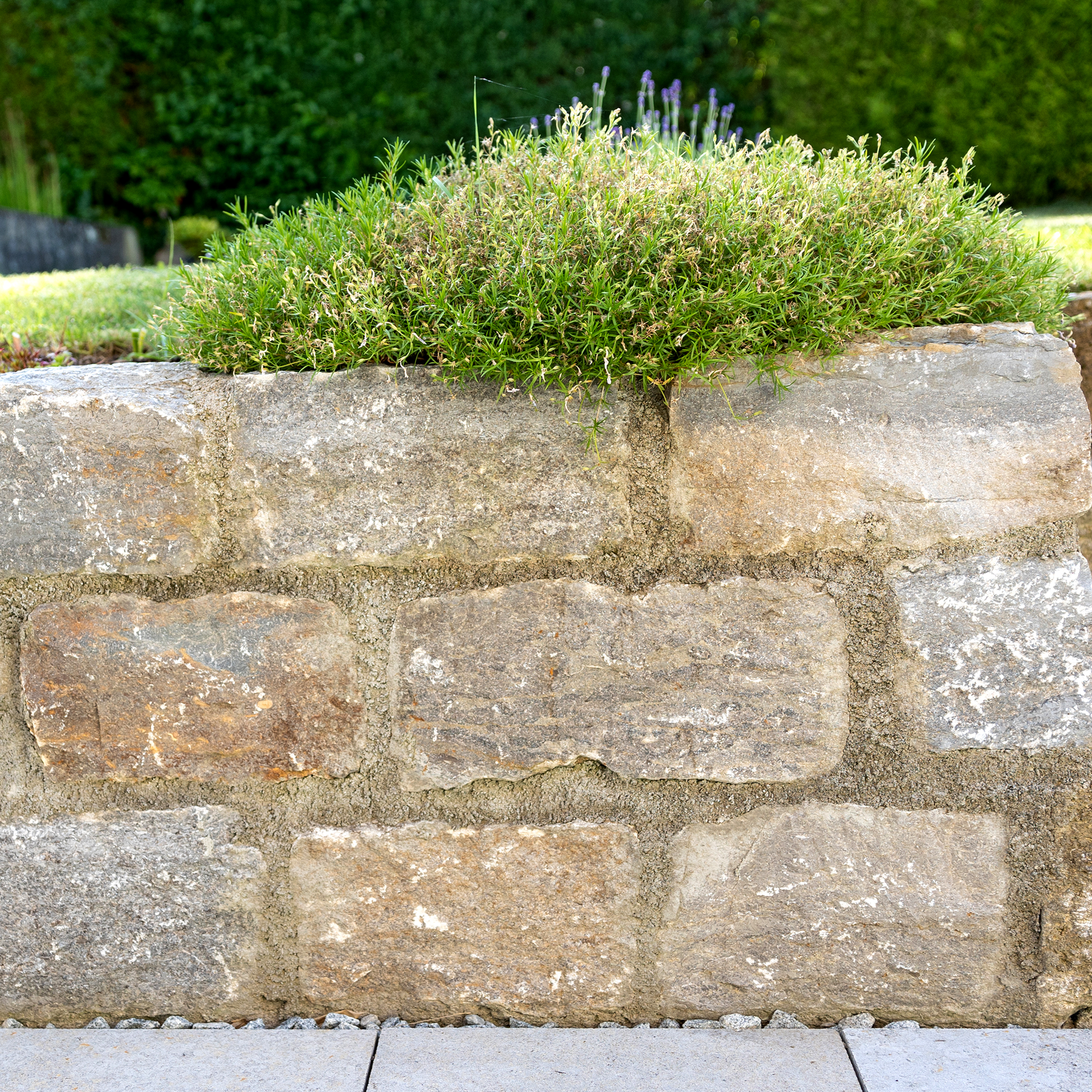 JO7A3563 bearbeitet Quadratisch