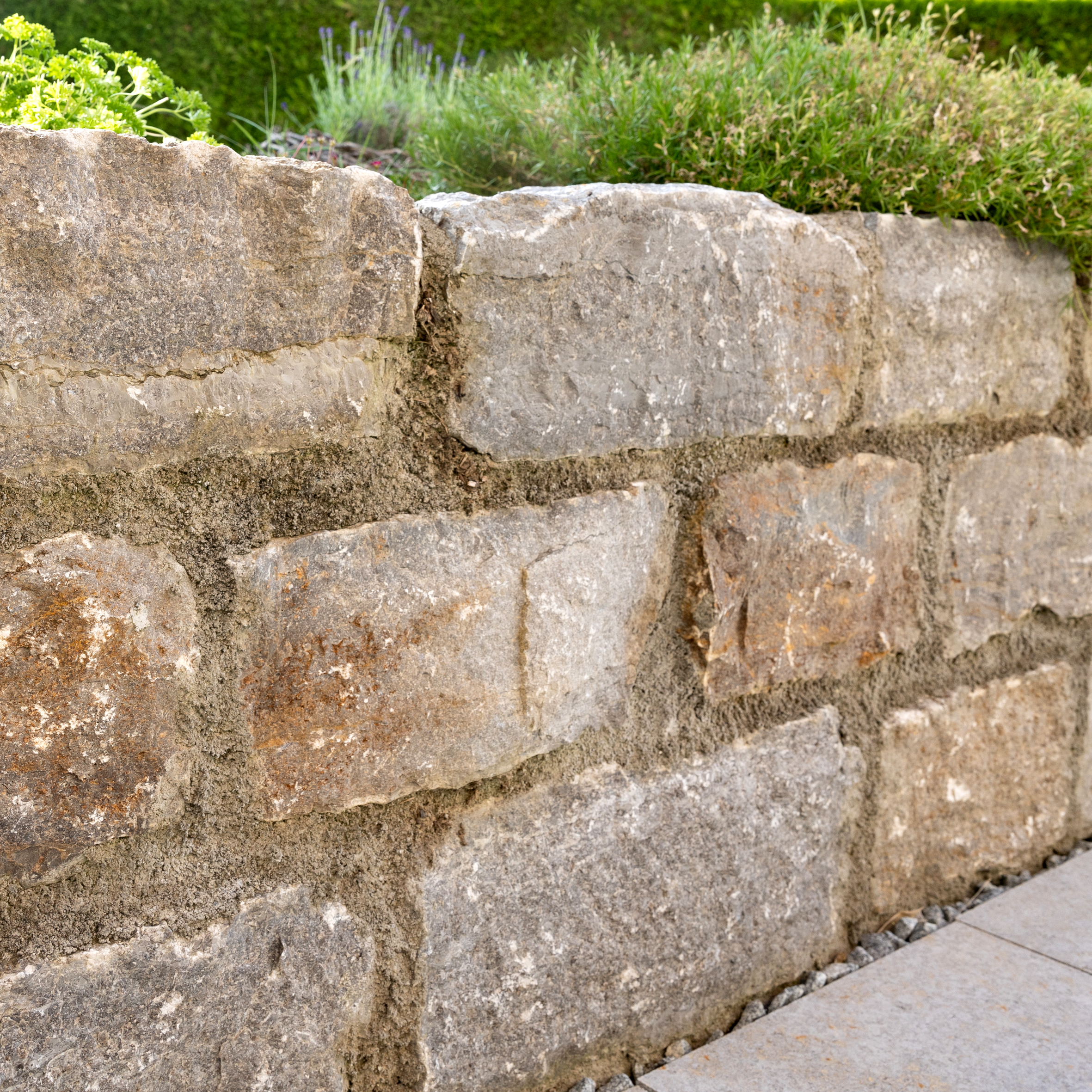 JO7A3567 bearbeitet Quadratisch