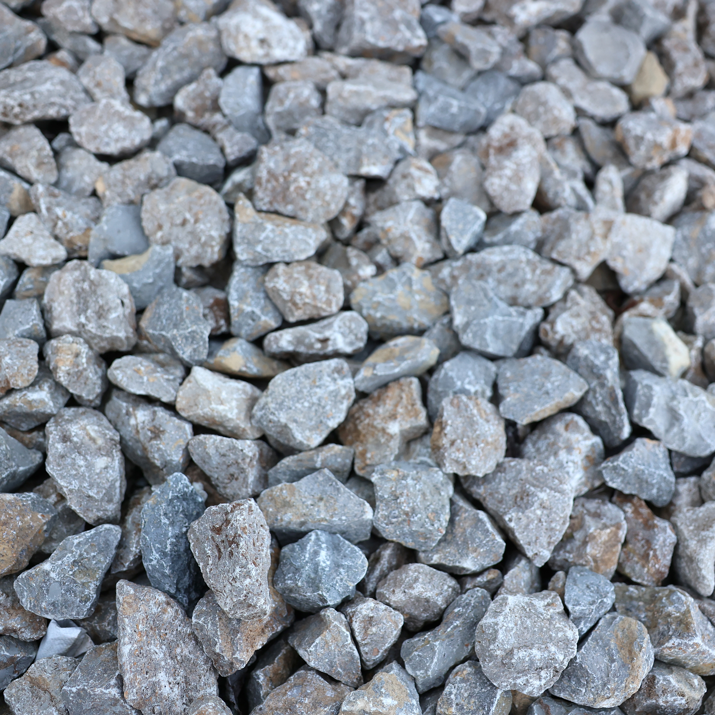 JO7A9967 bearbeitet Quadratisch